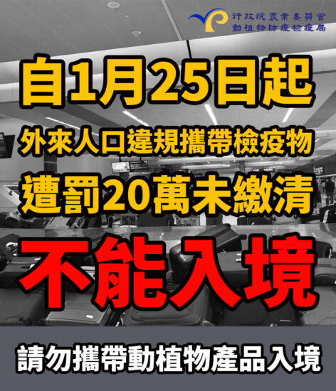 【關愛消息】 嚴防非洲豬瘟 禁止攜帶任何肉類入境(多國語言版)